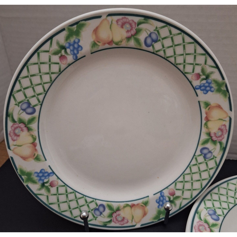 BOTANICA by Signature Salad Plates Stoneware Fruit Pattern Set of 2